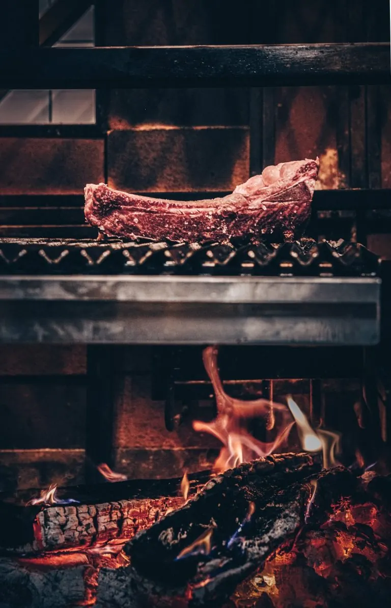 Steak on wood-fired grill